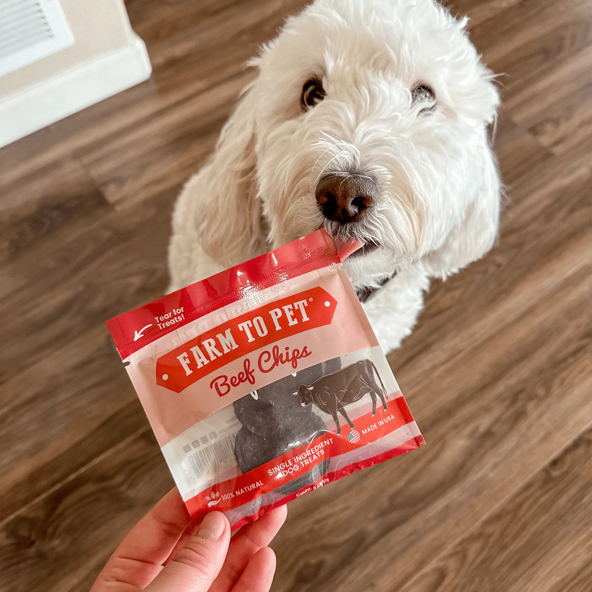 Beef Chip Snack Pack Bundles - Image 6